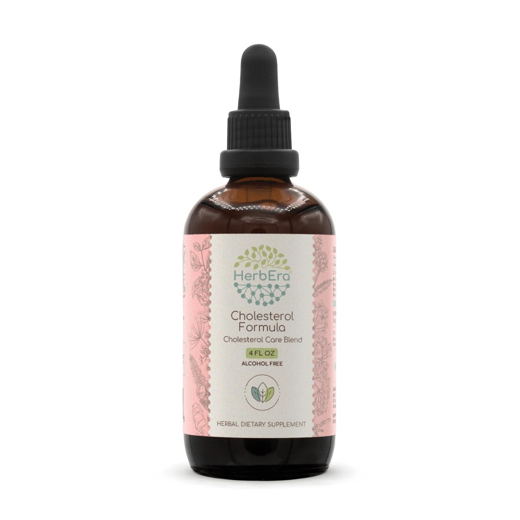 HerbEra Cholestérol Formule B120 Extract Teinture sans alcool Feuille d'artichaut, Feuille et fleur d'épines, Graines de fenouil, Racine de curcuma, Racine d'Ashwagandha, Berry Amla. Mélange de soin du cholestérol 4 Fl Oz