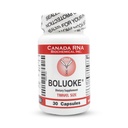 Kanada RNA (Lumbrokinase) für Circulatory Health, 30 caps
