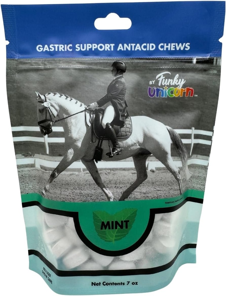 Funky Unicorn Gastic Chews - MINT Geschmack