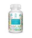Actif Bio-Pränatal-Vitamin mit 25+ Bio-Vitamine, 100% natürlich, DHA, EPA, Omega 3, und Bio-Kräuter-Mischung - Non-GMO, 90 Count
