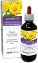 Naturalma Dandelion (Taraxacum officinale) Wurzel und Kräuter Alkoholfreie Tinktur - 6.76 fl oz Flüssiger Extrakt in Tropfen - Kräuterergänzung - Vegan