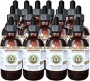 Cinnamon Alcohol Free Liquid Extract, Cinnamon (Cinnamomum Verum) Getrocknete Bark Glycerite Hawaii Pharm Natural Herbal Supplement 15x4 oz