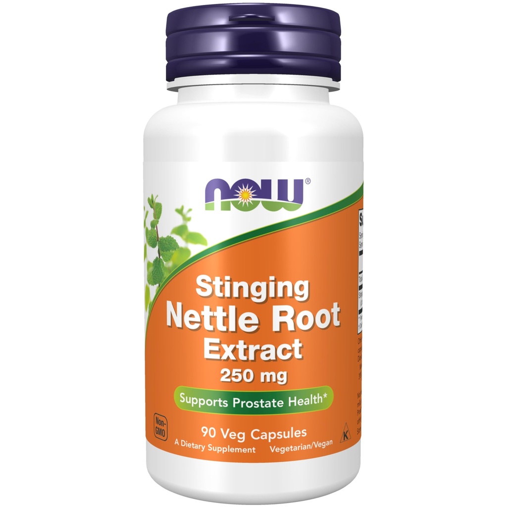 MAINTENANT compléments alimentaires, extrait de racine de nervure sting (Urtica dioica) 250 mg, soutient la santé de la prostate*, 90 gélules