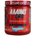 iSatori Amino-GRO BCAA Pulver, verzweigte Kettenaminosäuren mit Glutamin, Elektrolytpulver & Bio-GRO Bio-Active Peptide für Muskelwachstum & Post Workout Erholung, Blue Razz Snow Cone (30 Servierungen)