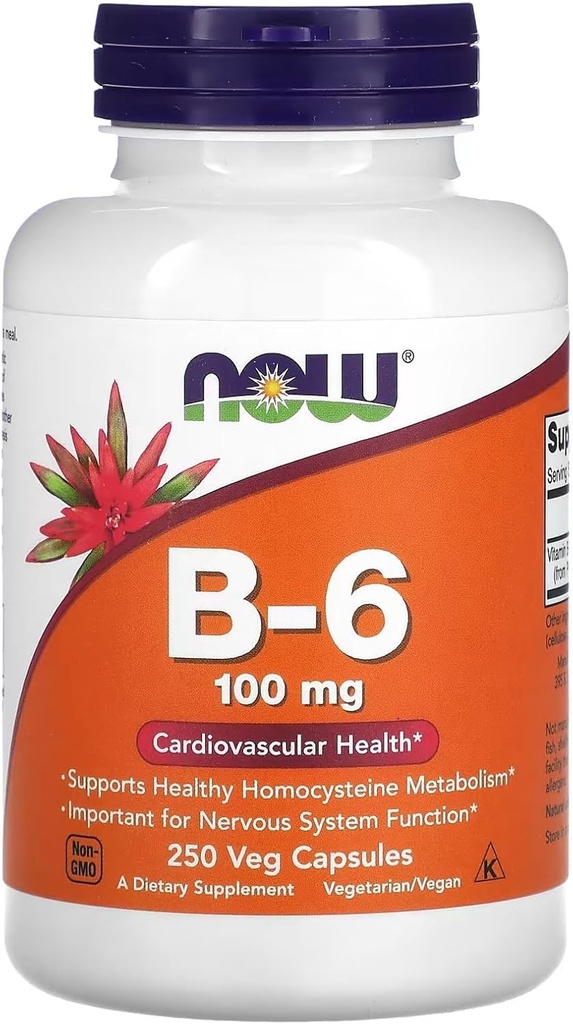 Jetzt Lebensmittel Vitamin B-6 250 Kapseln/100mg