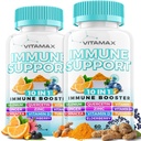 10-in-1 Immununterstützung mit Elderberry, D3, Selen, Quercetin, Zink, Vitamin C, Ginger, Kurkuma, B6, Echinacea – Immune Defense – Made in USA (60 Count (Pack of 2))