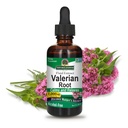 Natur Antwort Valerian Root | Promotes Restful Sleep | Calms & Relaxes | Super Concentrated 1000mg | Glutenfrei, Alkoholfrei, Kosher Certified & Vegan 2oz (Pack von 2)