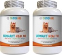 Dog Bladder Support - Dog Urinary Health Formula - Hilft mit Inkontinenz und Blasenproblemen - Immune Boost - Dog Cranberry Supplement chew - 2 Flaschen (180 Bäume)