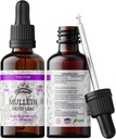 Mullein Tincture Extract, Organic Mullein (Verbascum densiflorum) Getrocknete Blatt Kräuterergänzung in kaltgepresstem pflanzlichem Glycerin 670 mg