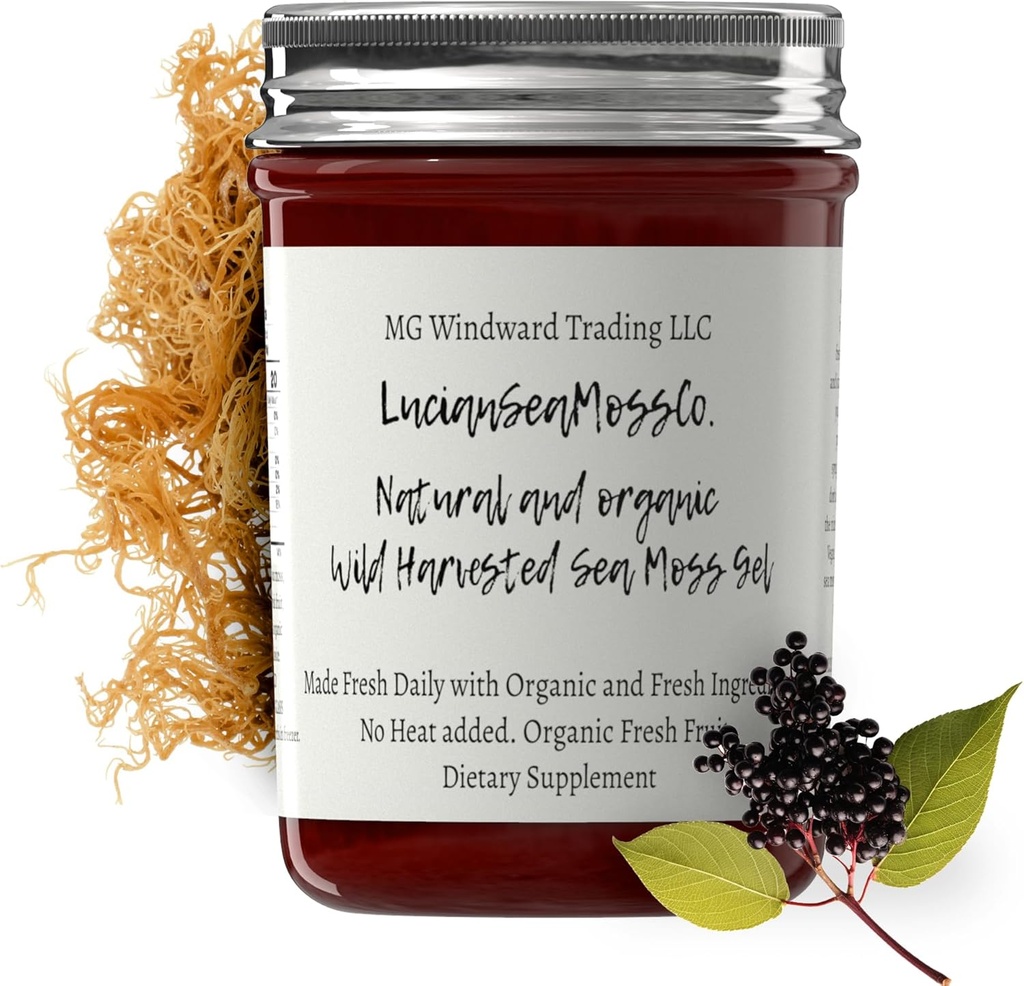 Dr. Sebi Inspired Alkalin Organic Fresh Elderberry Ginger Sea Moss Gel - Natural Essential Vitamins, Minerals Plus Antioxidants Wild Harvested from Saint Lucia (8 oz.)