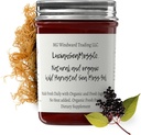 Dr. Sebi Inspired Alkalin Organic Fresh Elderberry Ginger Sea Moss Gel - Natural Essential Vitamins, Minerals Plus Antioxidants Wild Harvested from Saint Lucia (8 oz.)