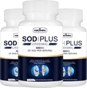 Superoxid Dismutase Supplement 500mg - SOD Plus mit Liposomal Glutathion, AKG, Grüner Teeextrakt, L-Arginin, Lysin, Resveratrol und Vitamin E für Immununterstützung, Antioxidant 180 Kapseln