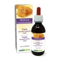 Naturalma Propolis (Propolis) Harz Alkoholfreie Tinktur - 4 fl oz Flüssiger Extrakt in Tropfen - Nahrungsergänzung