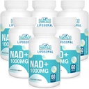 Liposomal NAD+ Ergänzung 1000 mg | Höchste NAD Pontecy | Max Absorption | Reine NAD Ergänzung | Energie und DNA Reparatur, Alterung Verteidigung, Gehirn Funktion | 360 Softgels