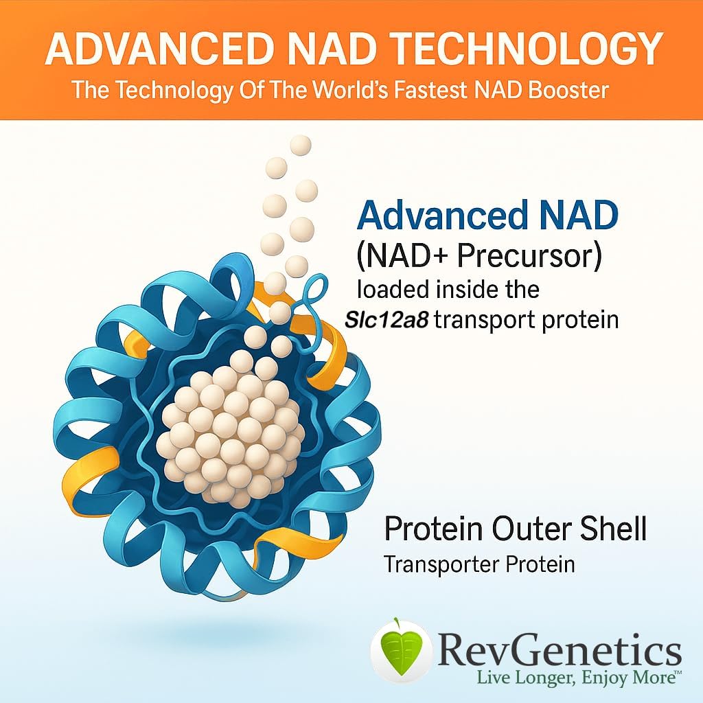 REVGENETICS Supplément avancé NAD+, 60 capsules - Supplément alimentaire pour le vieillissement en santé et la longévité