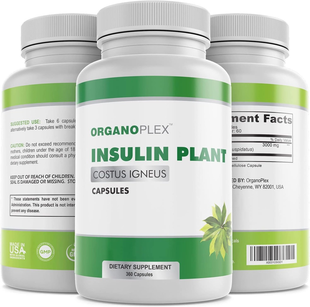 Insulin Pflanzenkapseln (Costus Igneus), 100% Natürliche Ergänzung, 360 Veggie Caps (2 Month Supply) - Insulin Pflanze
