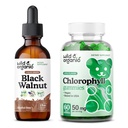 Teinture de noyer noir sauvage et biologique 2 fl oz et Gommies de chlorophylle 60 Compte