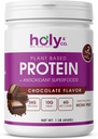 Holy & Co. mélange de protéines à base de plantes Shake, sans gluten chocolat aromatisé, casher, pour les hommes et les femmes, 2 milliards de probiotiques, sucre de fruit Monk- 16 oz (1 LB)