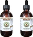 Echinacea Extrait liquide sans alcool, Echinacea (Echinacea Angustifolia) Racine séchée Glycérite Hawaii Pharm Supplément naturel à base de plantes 2x4 oz