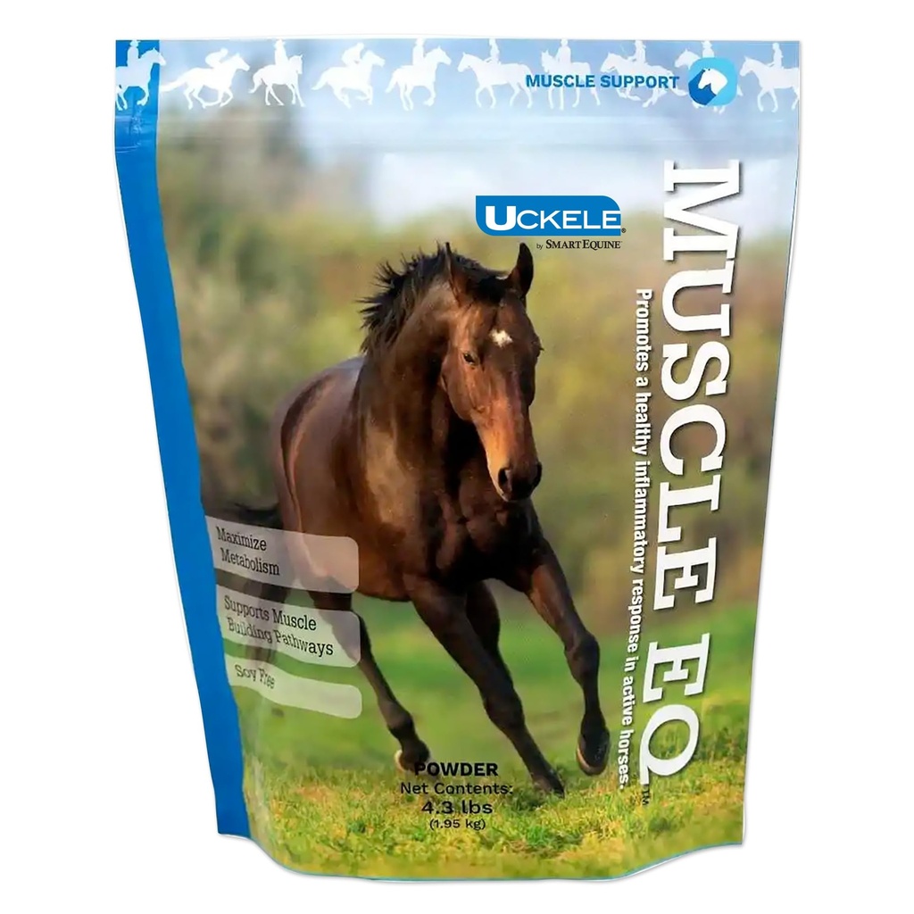 Complément musculaire avec L-Carnitine pour chevaux