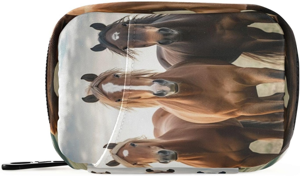 Horse Pill Organizer Case Portable Weekly Daily Pill Case Tasche Organizer mit Reißverschluss für Ergänzungen Medizin Travel Family Business