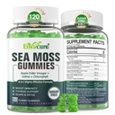 Sea Moss Gummis Sugar-Free, Extra Strength Irish Moss Gel Supplement mit Jod, Chlorophyll, Unfiltrierte ACV, D3, Burdock Root, Bladderwrack für Immun, Digestive, Haut, Haar, Detù️x, Vegan, 2Pack