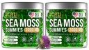 JOYLI Nutrition 2 Pack - Sea Moss Gummis für Erwachsene & Kinder – Vegan Irish Sea Moss Supplement mit Bladderwrack & Burdock Root – Sugar-Free Immun Support Supplements - 60 Gummy Bears pro Pack