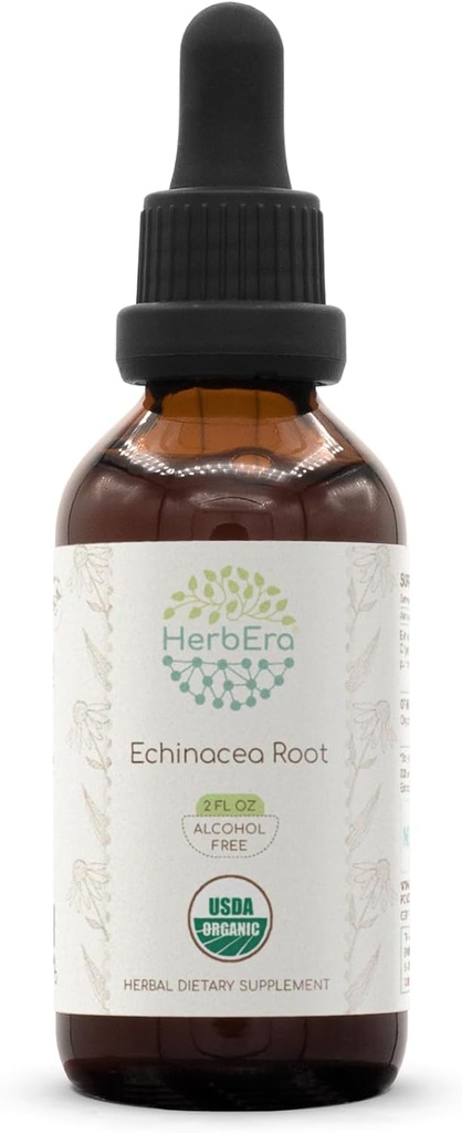 HerbEra Echinacea Root B60 USDA Organic Tincture | Alkoholfreier Extrakt, hochkarätige Kräutertropfen, Immunsystem Gesundheit | Certified Organic Echinacea Root (Echinacea Purpurea) Getrocknete Wurzel (2 fl oz)