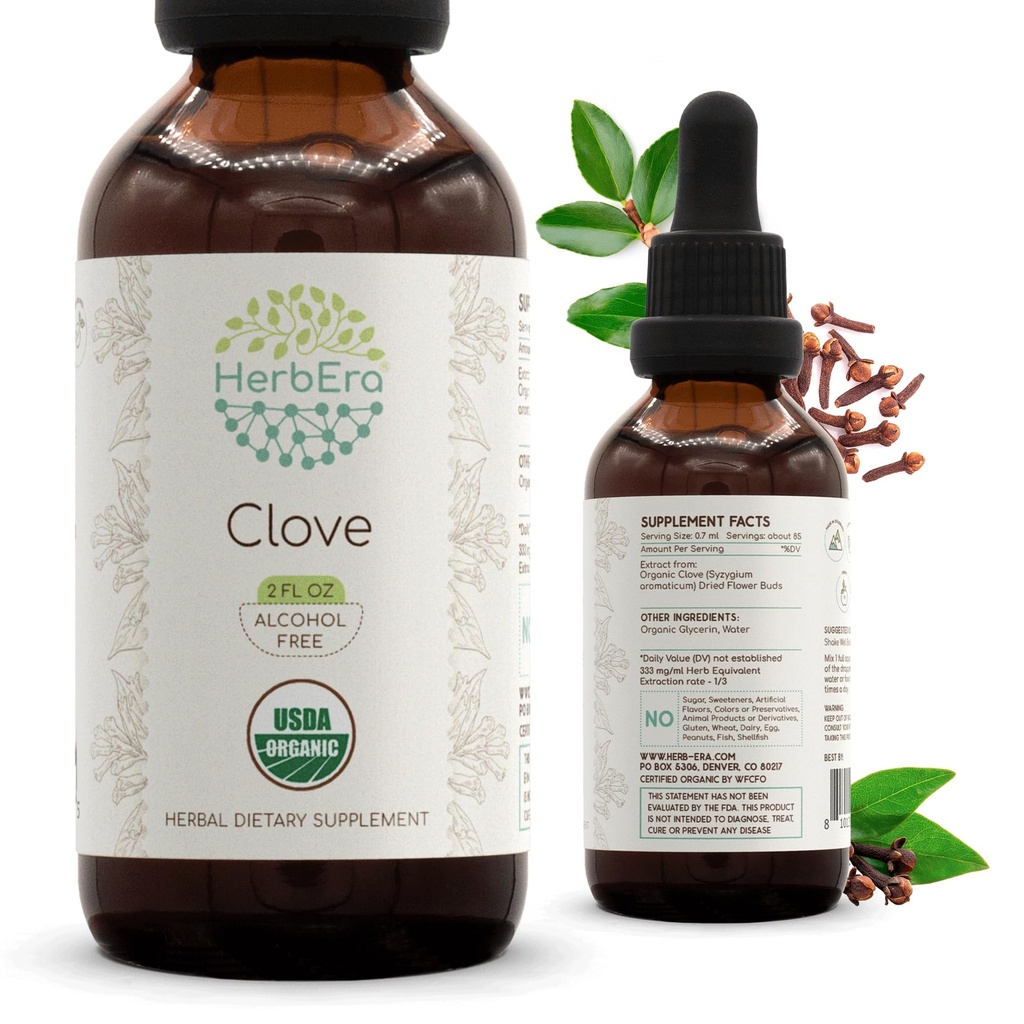 HerbEra Clove B60 USDA Organic Tincture | Alkoholfreier Extrakt, hochkarätige Kräutertropfen, Immunsystem Gesundheit | Certified Organic Clove (Syzygium Aromaticum) Getrocknete Blütenknospen (2 fl oz)