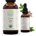 HerbEra Clove B60 USDA Organic Tincture | Alkoholfreier Extrakt, hochkarätige Kräutertropfen, Immunsystem Gesundheit | Certified Organic Clove (Syzygium Aromaticum) Getrocknete Blütenknospen (2 fl oz)