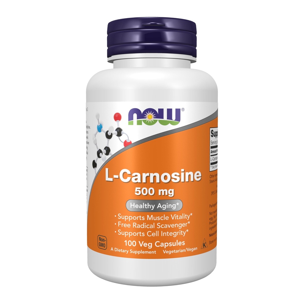JETZT Nahrungsergänzungsmittel, L-Carnosin (Beta-Alanyl-L-Histidin) 500 mg, Gesundes Altern, 100 Veg Kapseln