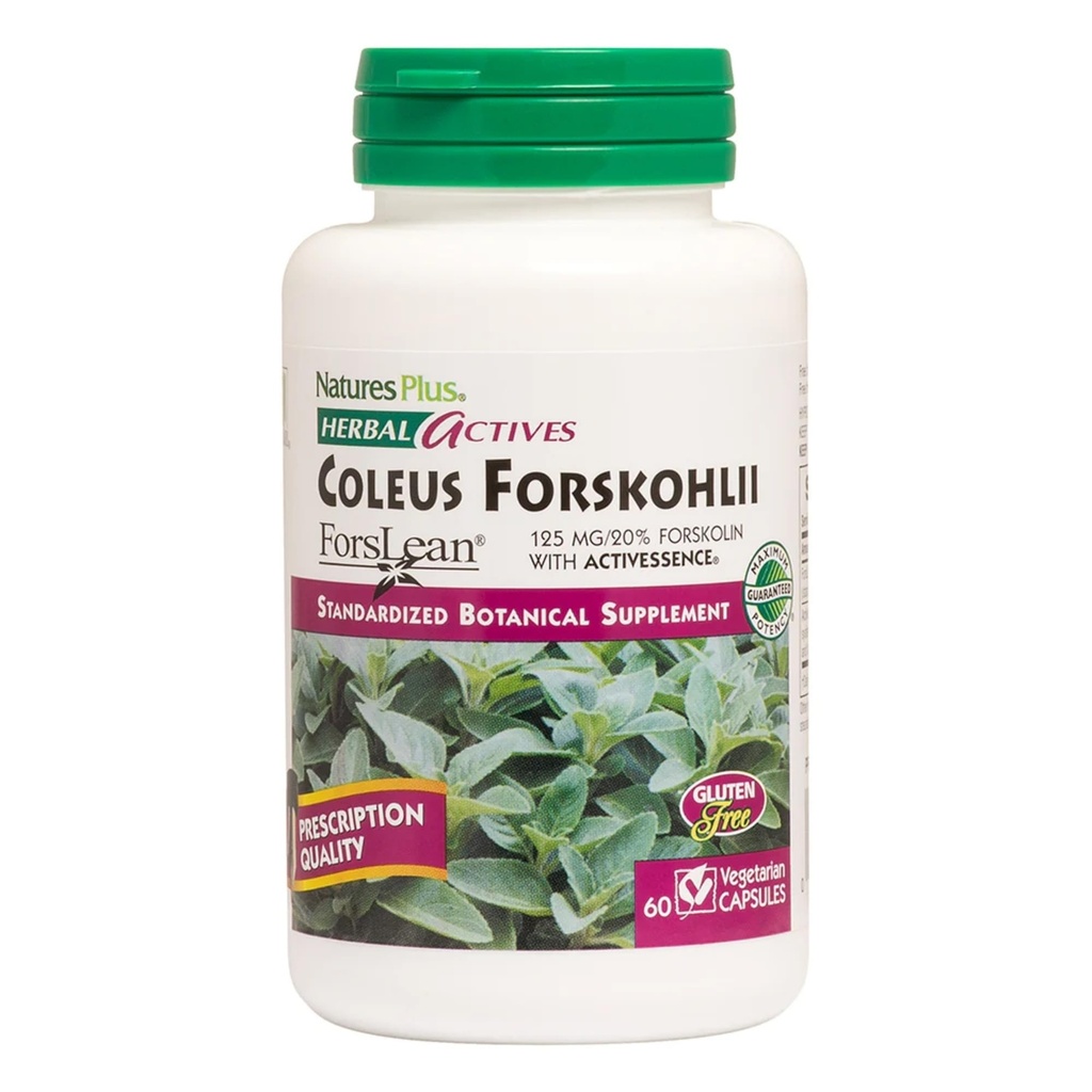 NaturesPlus Kräuter-Aktiven Coleus Forskohlii - 60 Vegetarische Kapseln - Glutenfrei - 60 Portionen