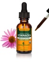 Herb Pharm Organic Echinacea Root Extract, Alkoholfrei: Immunsystem Unterstützung für alle Jahreszeiten, Fast-Acting Echinacea Pflanzenergänzung, Non-GMO, Vegan & Gluten-Free, 1 Oz
