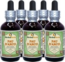 PAU d'arco (Tabebuia Impetiginosa) Glycerit, Getrockneter Bark Alkoholfreier Flüssigextrakt (Markenname: HerbalTerra, Proudly Made in USA) 5x2 fl.oz (5x60 ml)