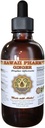 Hawaii Pharm Ginger Liquid Extract, Organic Ginger (Zingiber officinale) Tinktur Supplement 2 oz