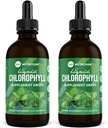 360 Nutrition Chlorophyll Flüssigkeitstropfen mit Pfefferminzöl, GF & Vegan Körper Interne Deodorant Ergänzung, unterstützt Gut Gesundheit, Verdauung, Energie, Radiant Haut, schnelle Absorption (4 Fl Oz (2 Zähler))