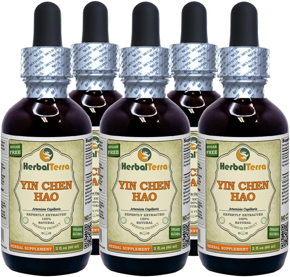 Yin Chen Hao (Artemisia Capillaris) Tincture, Organic Dried Herb Liquid Extract (Markenname: HerbalTerra, Proudly Made in USA) 5x2 fl.oz (5x60 ml)