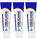 (3 Pack) Globe Dibucaine 1% Hämorrhoid Behandlung Salbe - 1 Oz Rapid Numbing Relief, Hämorrhoid Behandlung von Itch und Burn