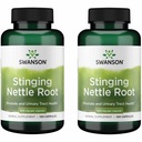 Swanson Stinging Nettle Root (Urtica Dioica) - Supplément à base de plantes - (100 capsules, 500mg) (2 boîtes)