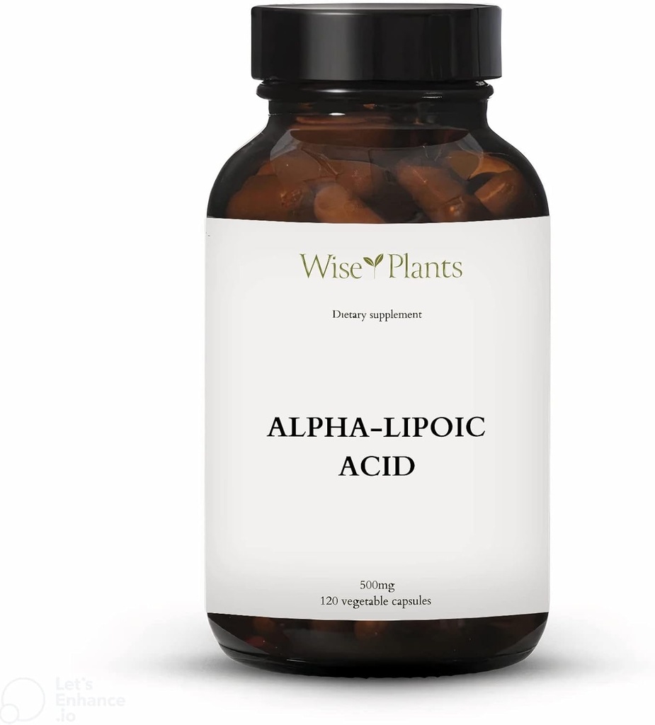 Alpha-Liposäure - Non-GMO - 500mg, 120 Portionen (4 Monate Versorgung), Energieniveaus, Mitochondria Unterstützung
