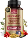 Supplément berbérique premium avec acide lipoïque alpha Quercetin resvératrol - 50:1 complexe de HCl berbérique antioxydants, polyphénols, stimuler la vitalité - 90 comprimés végétaliens, non-OGM, sans gluten