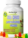 Morceaux de mousse de mer Ashwagandha avec racine de bardière Bladderwrack, Alkaline Keto Vegan régime non-OGM, lait et sans gluten – par gouttes de guérison