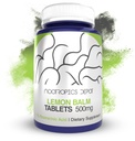 Nootropics Dépôt Lemon Baume Extract Comprimés (500mg) 120 Compte (100) 10:1 Eau Extrait d'éthanol