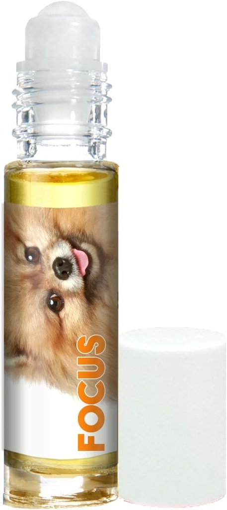L'aromathérapie bénissante chien Papillon Focus chien pour la concentration de Canine