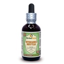Herbal Terra LLC Stinging Nettle (Urtica Dioica) Glycérite, feuilles séchées organiques Extrait liquide sans alcool 2 oz