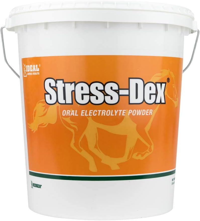 Néogène 79177 Stress-Dex 20lb, orange