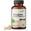Futurebiotics Fenugreek Extra Strength unterstützt Gesamt gute Gesundheit und Wohlbefinden, Non-GMO, 300 vegetarische Kapseln