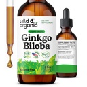 Wild & Organic Ginkgo Biloba Tincture - Brain & Focus Support mit Ginkgo Blatt-Ergänzung - Vegan, Zucker & Alkoholfreie Kräuterextrakt Tinkture - 2 fl oz