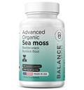 Bio Irish Sea Moss, Bladderwrack & Burdock Root Supplement 1405mg, 60 Capsules de Veg - Immune Booster, Gut Health, Détox cutané et soutien articulaire (60 Nombre (paquet de 1))