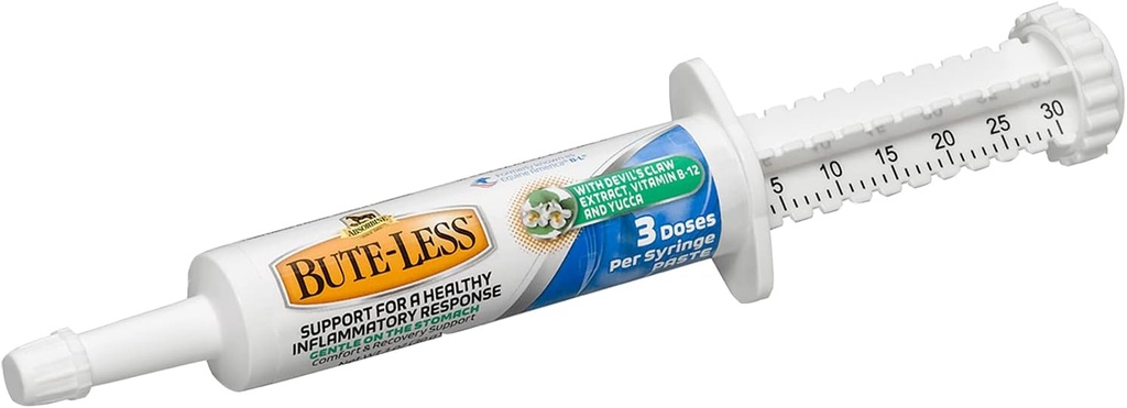 Absorbine Bute-Less Long-Term Horse Comfort & Recovery Supplement Paste, Gentle on Stomach, Teufelskralle, Vitamin B-12, Yucca, 1oz Syringe / 3 Doses